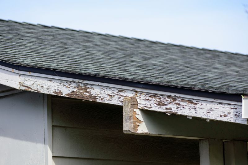 Roof Eave Repair